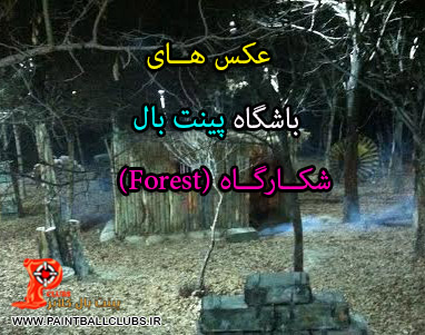 عکس های جدید از محیط باشگاه شگارگاه (FOREST)
