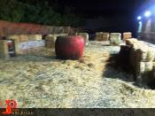 عکس-05